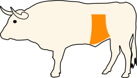Hovězí bok