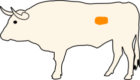Hovězí bryndáček