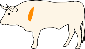 Falešná svíčková