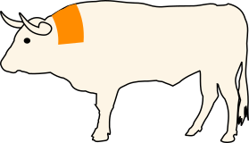 Hovězí krk