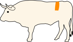 Hovězí malý ořech