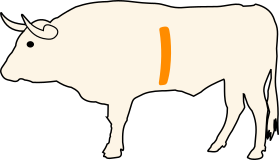 Hovězí oponka