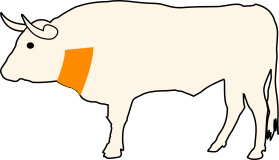 Hovězí podkrčí