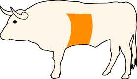 Hovězí žebra